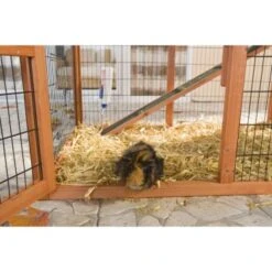 Trixie Nagerstall Natura Mit Auslauf -Haustierparadies ba3a0bf8ca9f170c93bb20d8b9a1c996fc62f60a 018fa5b7bc6a586c5b399fb3273b0bd2829eee6a