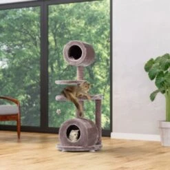 MORE FOR Kratzbaum Jive 13 MORE FOR Kratzbaum Jive -Haustierparadies ba465afaa9ffb7d77bc7734ed7dbb785ff76646f d6a5a8b38136f1f66656c79e1a87133b075995b8