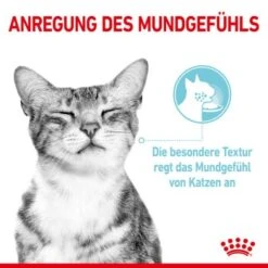 ROYAL CANIN SENSORY Smell Taste Feel Multipack In Soße 12x85g -Haustierparadies baf00e5a4ea333c520344ef894e9fb2288f0a042 9c83d499e727e5db35146871f29c330f64074010