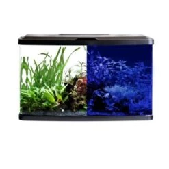 Fluval VUE Kombination -Haustierparadies bbda823f160487a1e226e1d870d67caa0b95aabb d5d0fba806d82ca681608c361f0f7eb1ee2c0d30