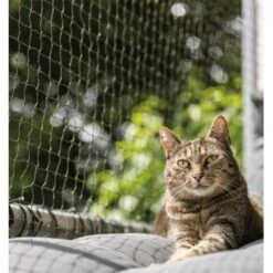 Trixie Katzenschutznetz Cat Protect 2 M, 1,5 M 7 Trixie Katzenschutznetz Cat Protect 2 M, 1,5 M -Haustierparadies bc6f0b8052c3a5b997776619d64762770aac1a9d 1017572 de DE trixie schutznetz wb2
