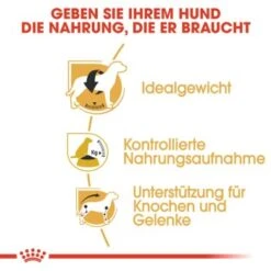 ROYAL CANIN Beagle Adult 3 Kg 11 ROYAL CANIN Beagle Adult 3 Kg -Haustierparadies bd1d862302227d3355d22f5dd63b0fb6e01c0979 a169571c5cbde6082adf0be87e23db9042e69066