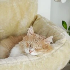 Schlitzohr Heizungsliege Lucky Beige -Haustierparadies bdc02033928d033279e49ebefe91371e629dfd2f 1484673 de DE 4daf09016934a9074c92f48c173e840fa6385a4agwWEjb