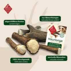 ChronoBalance Geweih Halbiert (S) 2er Paket -Haustierparadies be3e8828dbd8c5e4de21dbf7f98cb10ae77181fa 1418685 de DE 902a389be4b99eb60431c66affbaefe4377d7689G3K9Kr