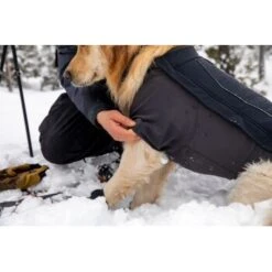 Ruffwear Cloud Chaser™ Hundejacke -Haustierparadies c08ed86245839b8fa7d59b47206e376a4924f862 1369625 de DE 87ed046f15d6c099e4f33a0b92b8494c495a6d97LL6Vmg
