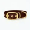THE DOG IDEA Biothane Halsband Gold Braun XS -Haustierparadies c1b8c5b8197b22c733cb958a763c9cdd48f20f9a 1655403 de DE 3eec8ecb6b61cc6900e4fcc8626bfc1517e55a960qusg8