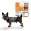 Thundershirt Beruhigungsweste Grau XS -Haustierparadies c22057e0edeaabdc851b9e8e6741a422484760ad 1102942 1