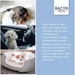 ChronoBalance BactoFacto Probiotischer Geruchsstopp Pads Für 2 Liter 20 Ml 13 ChronoBalance BactoFacto Probiotischer Geruchsstopp Pads Für 2 Liter 20 Ml -Haustierparadies c27e75fc226c89e592b2af9866887997e79057a8 1397549 de DE 11eaf103bff429178d8c79950fc83faf63345183BU6JEF