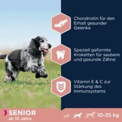 EUKANUBA Caring Senior Medium Breed 15 Kg -Haustierparadies c59963b2bf12d7ba820a9f846f7d788be1ad27ba 1293661 de DE asf 2
