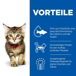 Hill's Science Plan Kitten Thunfisch 7 Kg 12 Hill's Science Plan Kitten Thunfisch 7 Kg -Haustierparadies c6fb28c1a799efc2b3725ee5b7be61613fad29ae 52742024431 4