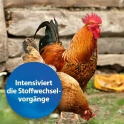 Quiko Plus 400 G: Extra Proteine Für Jungvögel -Haustierparadies c78ec5bd660eb7987c23754c3e76add74402f4c7 1386524 de DE e4010279085a506ac4331893b53789d7d4aec1cdixQ3v9