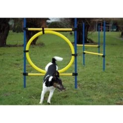 Dobar 3-teiliges Agility Sprung-Set,, Inkl. Tragetasche -Haustierparadies c7c9dd298510f0bd74d586405ecbd396df04c759 313726f2dd166c5ec13855d4374275bbe5eeeeec