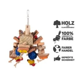 Java Papageienspielzeug Chunky -Haustierparadies c877b5c50360639764420883045ca8937f3855eb 1281773 de DE 58fc74cf0c1477942609b6fb22ef5f04552d48b4hwjbXN