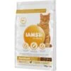 IAMS Vitality Adult Hairball Huhn 10 Kg 2 IAMS Vitality Adult Hairball Huhn 10 Kg -Haustierparadies c93a50adcd82a8fd4a24f79466884cab2c8301d1 38df729b88aaafd035b3e61d18fd474ce576a5b9