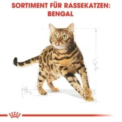 ROYAL CANIN Bengal Adult 10 Kg -Haustierparadies cb3c9b745b0cf6e86ca2308b544461de43105143 e7122eb5a9e8a316aad32423edb5418ecd6d24cd