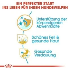 ROYAL CANIN Golden Retriever Puppy 12 Kg 21 ROYAL CANIN Golden Retriever Puppy 12 Kg -Haustierparadies cb6ceb5c2c0348785b37349290f73d5d5a660141 9a400f77f339333ff4f9079df0935bb9039a62ba