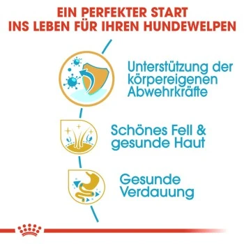 ROYAL CANIN Golden Retriever Puppy 12 Kg 12 ROYAL CANIN Golden Retriever Puppy 12 Kg – Bild 10