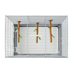 Savic Vogeltransportbox Primo 40 9 Savic Vogeltransportbox Primo 40 -Haustierparadies d0137ead5389abc3a8c42310a827c524b766fe1e e82c8aed5381bd8b3950178b79f9bf677032da65