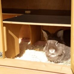 Kerbl Nagerstall Appartement Pro 11 Kerbl Nagerstall Appartement Pro -Haustierparadies d0393ab2c6d0024f1e38155c2064cc1a55cb4c3e aaca8b9b82324f261778e220e8b4c213eb3f4d3d