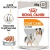ROYAL CANIN Coat Care 12x85g -Haustierparadies d0a6d6413fd09868f774eb0af000b2d5947d570d a1c5197bd67ac6248bb87496d4656427b7603da1