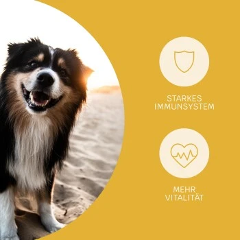 Mammaly Immu Push 110g 4 Mammaly Immu Push 110g – Bild 2