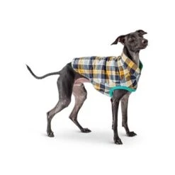 GF Pet Reversible Trail Jacke Grün XXS -Haustierparadies d0d86a70089b79c26342e2430bae8caf960ccaed befa58813c2949e634e5b991f29c2ef187a974fc