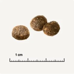 REAL NATURE WILDERNESS Adult Probierpaket Mixpaket 1, Mix-Pack -Haustierparadies d13ec079dfc733868201f90c68c1160fb8a8b3ec 1267094 de DE 6