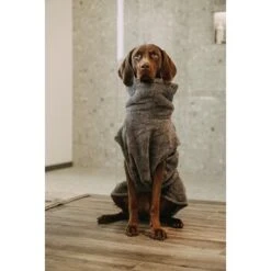 Lills Lill's Hundebademantel "Night Blue" 35 Cm 7 Lills Lill's Hundebademantel "Night Blue" 35 Cm -Haustierparadies d200b579b2b65ad9031ca5a6286c317e485ef232 1653379 de DE 98bc74239c4ab048310224eeb67c837697c0c318SRPWrI