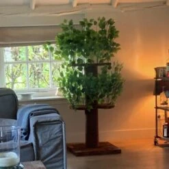 RHR Quality Kratzbaum Design Natural Leaves -Haustierparadies d32ab4bff9ec3b85ae4c7c42fe25c58d6e1cdac6 1651772 de DE ce58d8382b7df57150df15145bf1bd288f24ba1aaicjgL