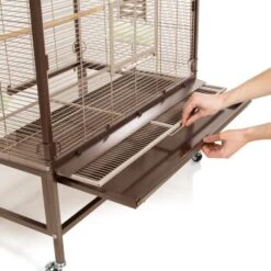 Montana Cages Voliere Villa Casa 90 10 Montana Cages Voliere Villa Casa 90 -Haustierparadies d3e1acc4f4fea95d5e1ff3eb5a4418e7ec0d97f9 1039422 de DE cee2563bfecbea93636721e8f6876b8ca1589c54fMY38l