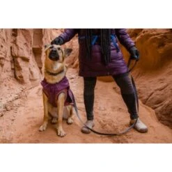 Ruffwear Overcoat Fuse™ Hundejacke Violett XXS 22 Ruffwear Overcoat Fuse™ Hundejacke Violett XXS -Haustierparadies d3f94d44f6e67346b4db3fd52a9a9b783d58a1b6 1639761 de DE f363d728c6c2883bd7afb3f30f0490bc0ed64f63oUWWPq
