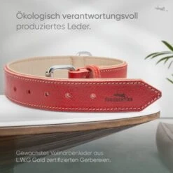 Freudentier Gefüttertes Halsband Aus Leder Rot L -Haustierparadies d409cad84e2e26e5e855246f3d62526ca2fa7cd7 1655241 de DE b688ee419d994f89d4885d7f15c32b5b6f7cc00bZYodZu