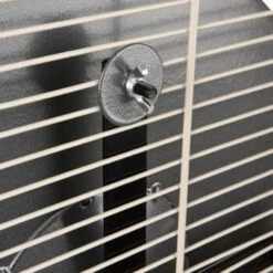 Wagner Montana Cages Metall-Laufrad Ø 38cm -Haustierparadies d617bd4dfbc1724778c20b1c5755c0a1ef592d48 1484280 de DE 05a82c0dc36325300cf7e58e8159a2a6bf92c5f4CacJUu