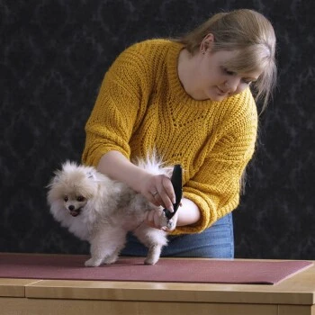 Moser Schermaschine Prima 4 Moser Schermaschine Prima – Bild 2