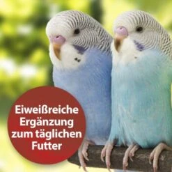 Quiko Bierhefe 400g: Eiweißreiche Ergänzung Zum Täglichen Futter Für Ziervögel 8 Quiko Bierhefe 400g: Eiweißreiche Ergänzung Zum Täglichen Futter Für Ziervögel -Haustierparadies dbea3a9534bfd87d9c3612a707b4b2a72d3b88e8 1386526 de DE 81b3ddf78d2ba1575bc8dd1b556a4d784786c157kjWBy7