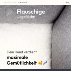 Freudentier Orthopädisches Hundebett Mit Memory Foam, Edel Gesteppt M -Haustierparadies ddc2f4a5676b0a38bc9661e63f36bd2616ded3f1 1676841 de DE 5e94b680d7c867ebb8a1b8de52b39e61cad9fa72llMEw1
