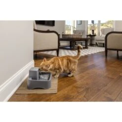 PetSafe Trinkbrunnen 1,8 L -Haustierparadies df488cf045110a6e0d24fcded3d81de07583d88a 1323706 7