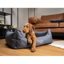 TrendPet Viscado Orthopädisches Hundebett Grau S -Haustierparadies e3085ac3bd300c2cb1b93e036022a0cce5e9ad00 1223491 de DE 9354cb70cec83749c3d5c1a85e99e98471884a1bP95Ter