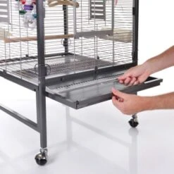 Montana Cages Voliere Paradiso 60 Hellgrau/ Dunkelgrau -Haustierparadies e88e491a9118d4237a939c333a64497a7eab0ec9 1205436 de DE 7cc82b47e0d4fb3c6995a6a5eace91599bd27fdddF0rHU