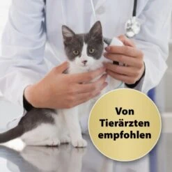 Felisept Home Comfort Nachfüller 45ml 7 Felisept Home Comfort Nachfüller 45ml -Haustierparadies e9c011b3fbd5bbe432aaf4e34410de973ecd3c9b 1667496 1