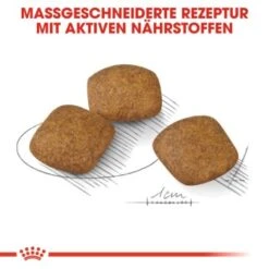 ROYAL CANIN Relax Care Medium 10 Kg 13 ROYAL CANIN Relax Care Medium 10 Kg -Haustierparadies e9c8adb6c3442b725302c4f13ddefd7241b310ea d3367ba045c503800677202f6ad758b380f2de09
