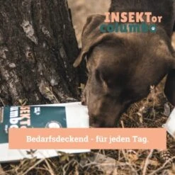 BeG Buddy Trockenfutter Insekten 750 G 13 BeG Buddy Trockenfutter Insekten 750 G -Haustierparadies eadf0fb719be9ce7396729afe6eec8326ea5f293 1457247 de DE 123bfe8a8f9618b3a58ac5efe483c5e0ad6f0bd2LnO57d
