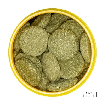 JBL PRONOVO PLECO WAFER Futtertabletten Für Herbivore Saugwelse XL 250 Ml 4 JBL PRONOVO PLECO WAFER Futtertabletten Für Herbivore Saugwelse XL 250 Ml – Bild 2