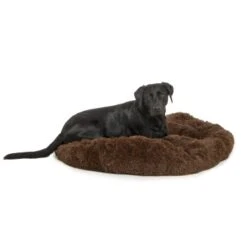 Wallace & Jones Plüschbett Sarnia M Braun -Haustierparadies eded511b68ed9015eaff2077a6b669002854f714 1371486 de DE fd86e10898f57e8b7bd22cdaddd6a5923d7b28e2iGVWqQ