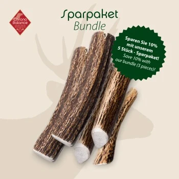 ChronoBalance Rothirsch Geweihstange Ganze Und Runde Stücke 300 G 4 ChronoBalance Rothirsch Geweihstange Ganze Und Runde Stücke 300 G – Bild 2