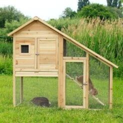 Lionto Kleintierstall, 140x65x119cm -Haustierparadies ef53431a8affe2f06f5deba84366a8a089439e55 1498011 de DE bf40166c7b5aa44796eb2ab9af483bec9214edc8qz1Z0r