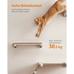 FEANDREA 3st. Clickat Katzenbrett Für Die Wand 14 FEANDREA 3st. Clickat Katzenbrett Für Die Wand -Haustierparadies eff0845c1d39f1df06ac9b2fea5543f13b924fe7 1681458 de DE 49f3284dc1e7752ec473d61a07cc5870214b52015wNOhn