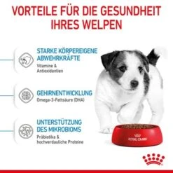 ROYAL CANIN Mini Puppy 8 Kg -Haustierparadies f04b24946028acb42b734103d58bb0208e88dc07 3182550793049 5