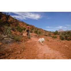 Ruffwear Swamp Cooler Zip™ Kühlweste Für Hunde Pink XL 23 Ruffwear Swamp Cooler Zip™ Kühlweste Für Hunde Pink XL -Haustierparadies f39337d577f60e5d30ba5addfb811febecbc66e7 1639652 de DE 1ff9fca93caed68be3a65cc55ad0d154f81bf268suJpN2