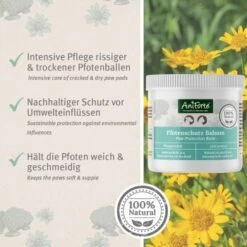 Aniforte Pfotenschutz Balsam 120ml Sommer & Winter 8 Aniforte Pfotenschutz Balsam 120ml Sommer & Winter -Haustierparadies f6352728d2d295839a5f9bac2123e02ea5cfd66d 1480491 de DE b4b6382b0452d366b3ffc33798d9e5be379c6ee9yrOk4E